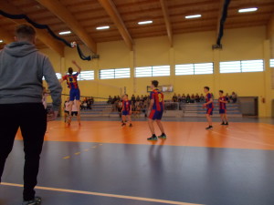 siatkapowiat2