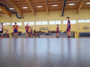 siatkapowiat4