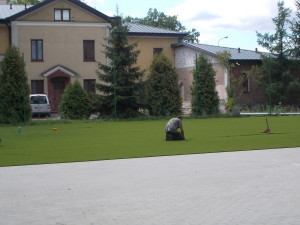 boiskotrawa (2)