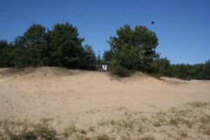 img_3435
