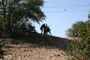 img_3447